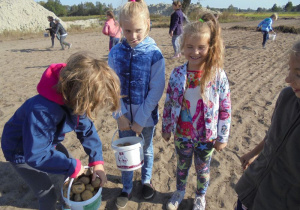 Dziewczynki zbierają ziemniaki