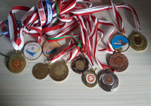 Kolekcja medali