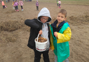 Dzieci pracują w pracach i grupach, aby uzbierać jak najwięcej ziemniaków.