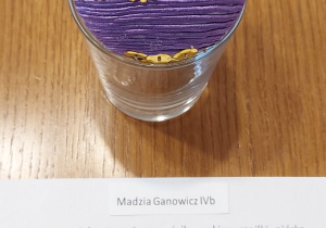 Ganowicz Magdalena SP1 Konin klasa 4