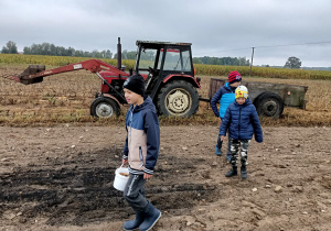 Dzieci zbierają ziemniaki przy traktorze.