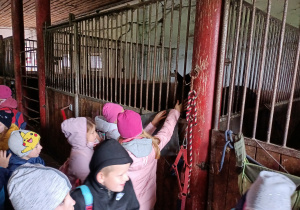 Dzieci głaszczą konia w stajni.