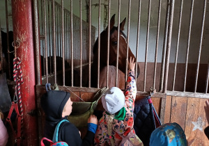 Dzieci podziwiają konia w stajni.