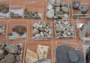 Kamienie i skamieliny